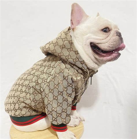 gucci pitbull sweater|gucci dog jacket sale.